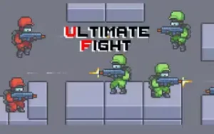 ultimate-fight